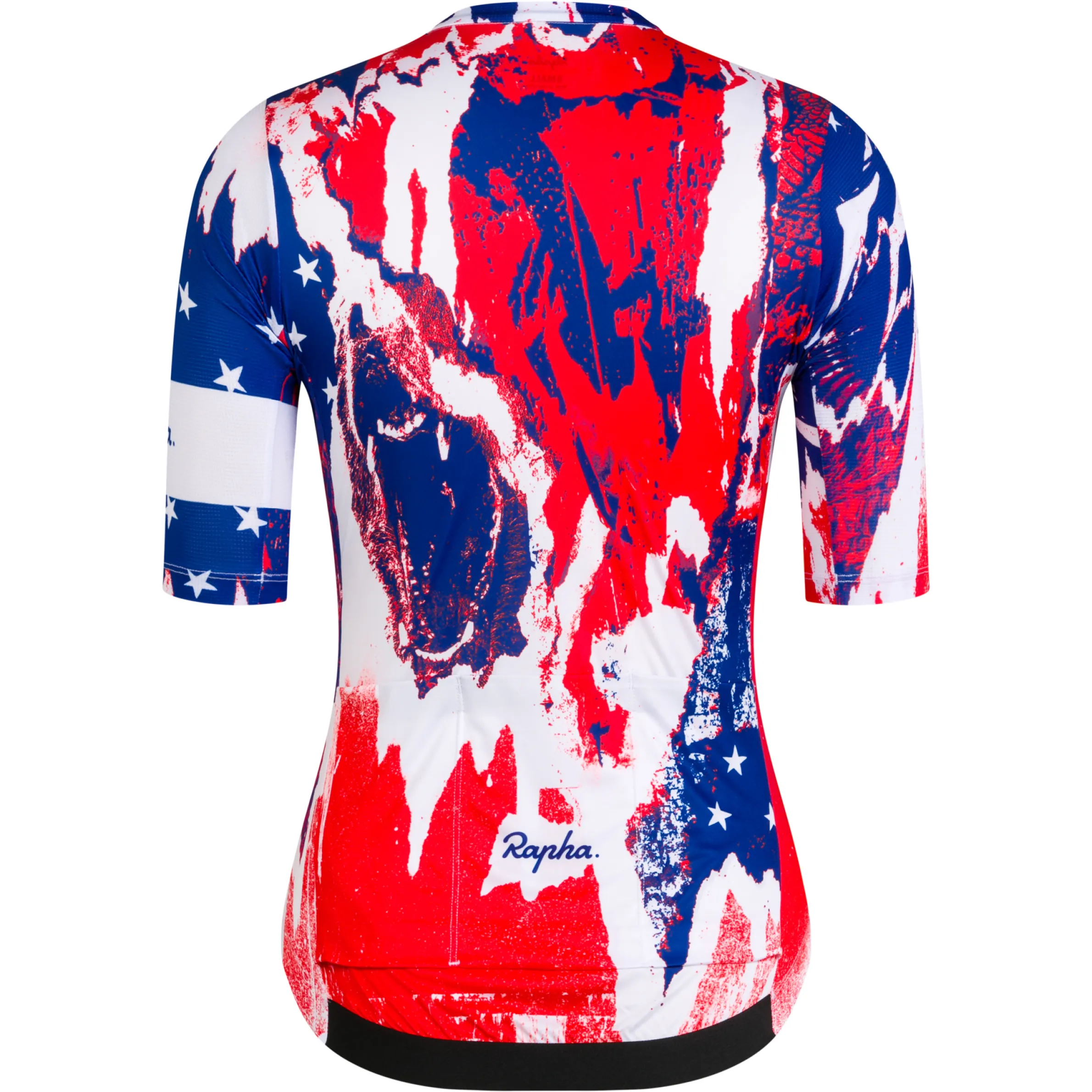 Rapha Jerseys|Santa Cruz htSQD Women's Pro Team Training Jersey - Nat Champs Multicolour